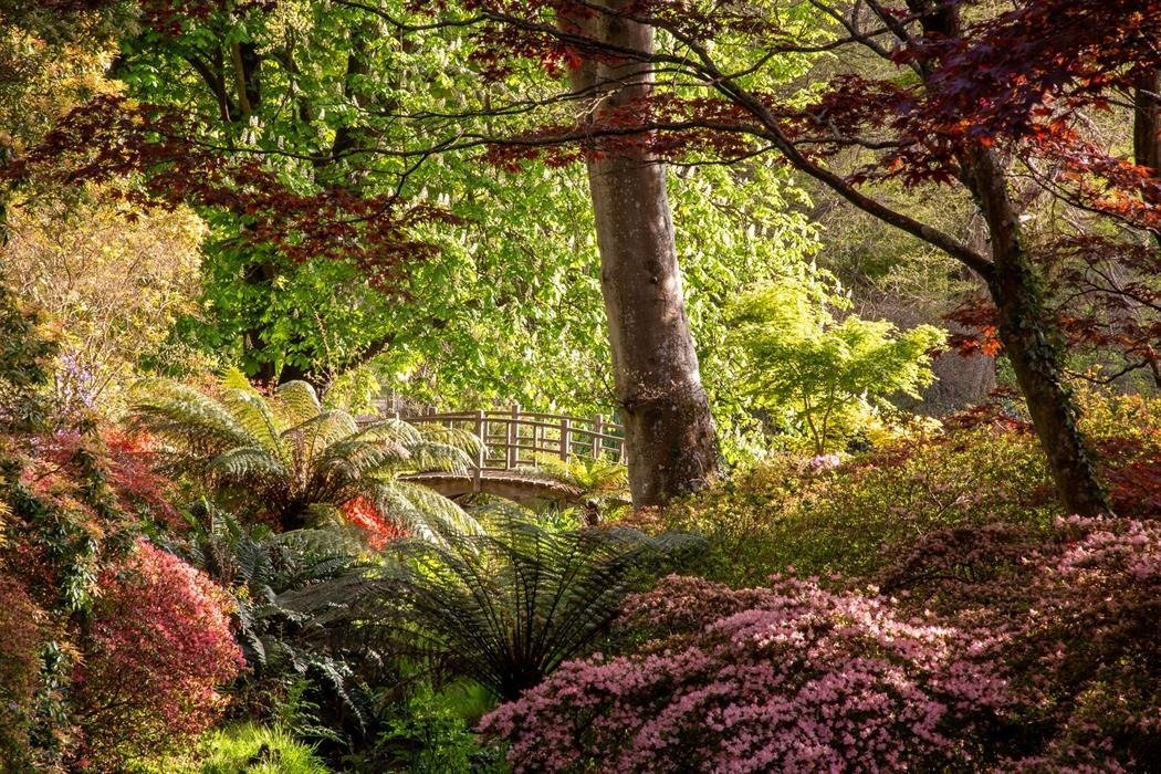 Beaulieu River woodland walks pathways forest natural setting