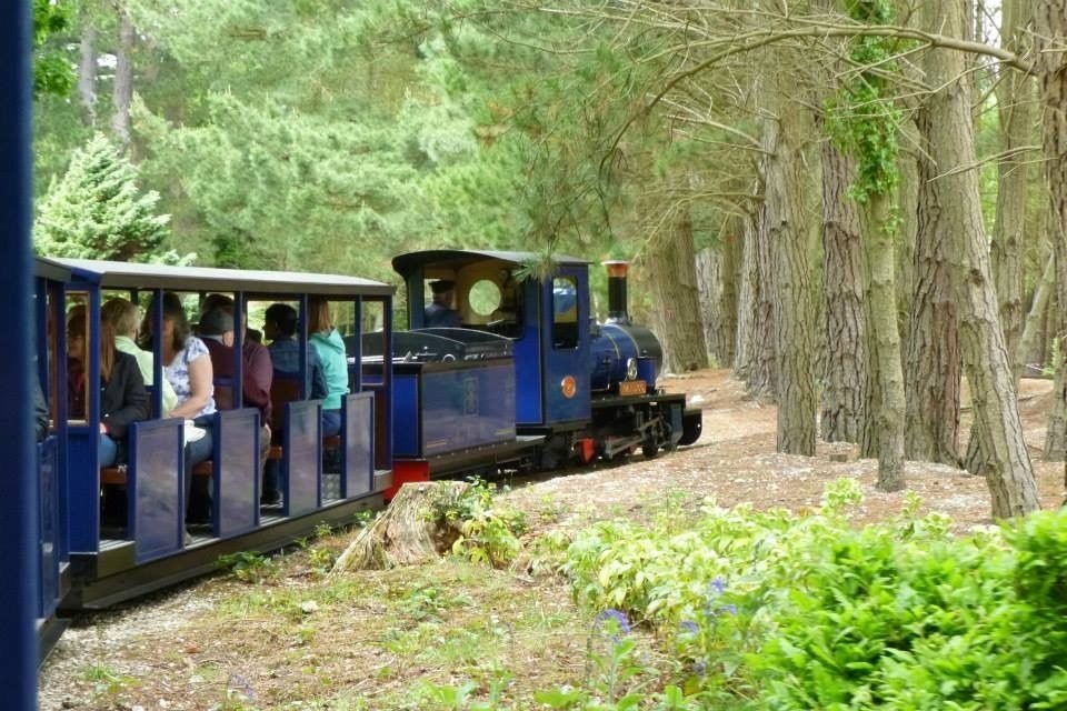 Steam railway train track garden woodland scenic journey