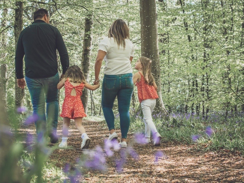 Woodland walk through the Gregynog Estate