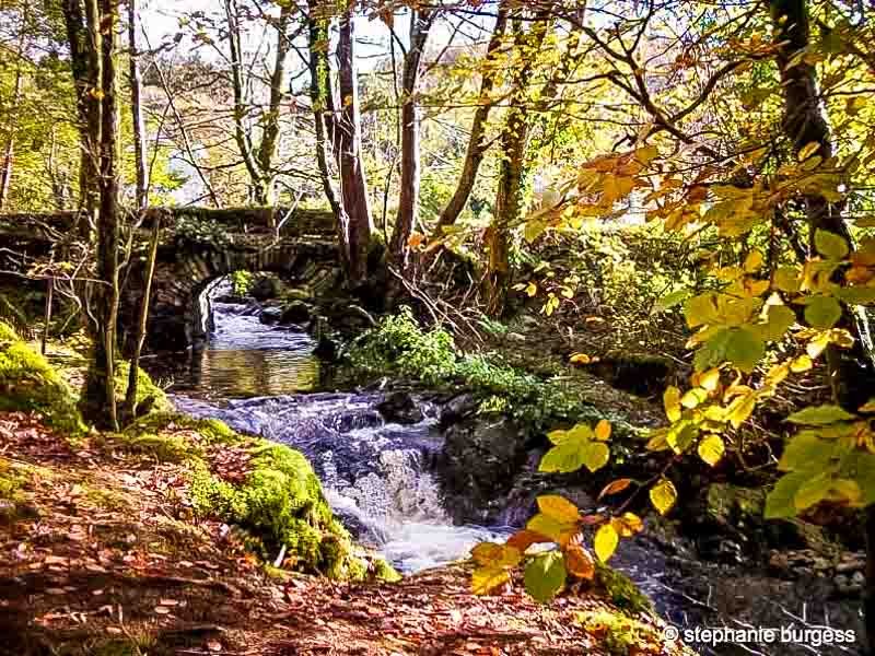 Historic bridge on the Hafod Estate