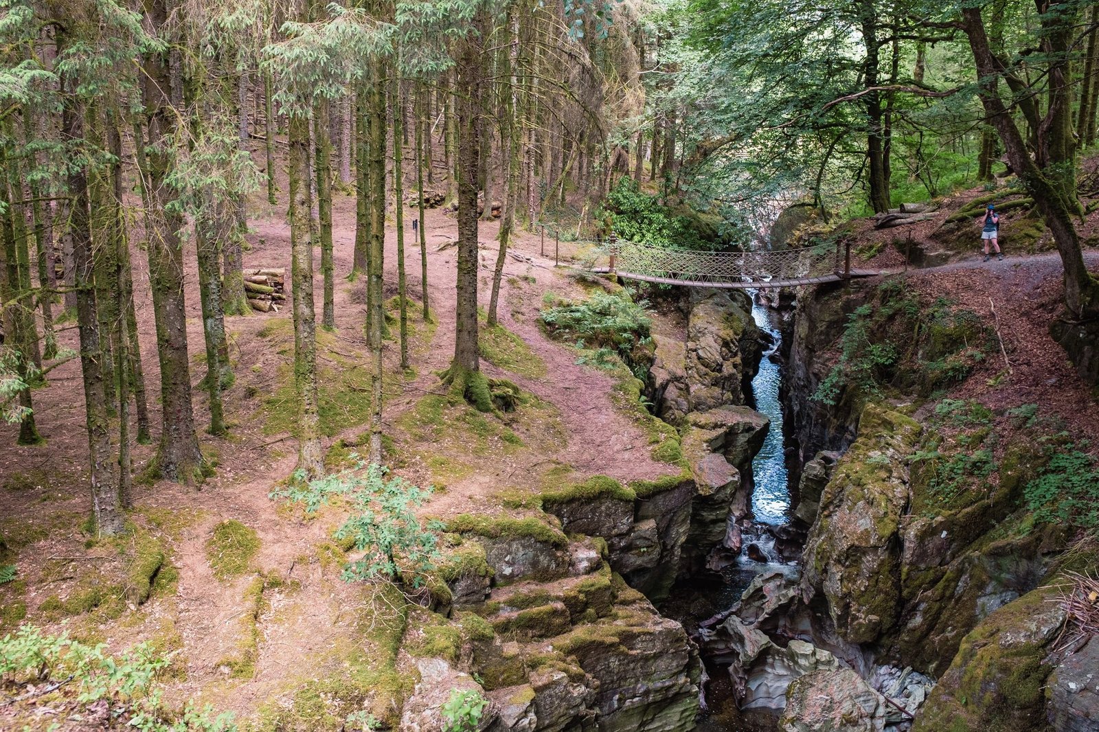 Peiran Falls surrounded by woodland on the Hafod Estate