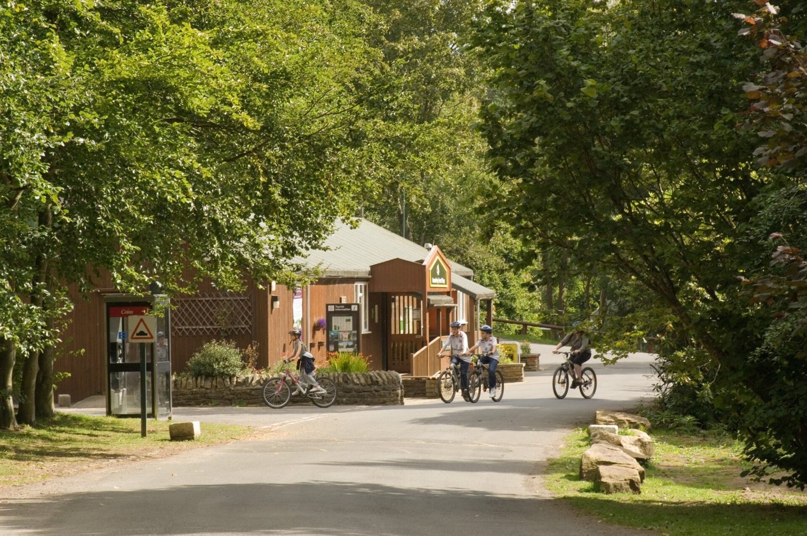 Hamsterley Forest