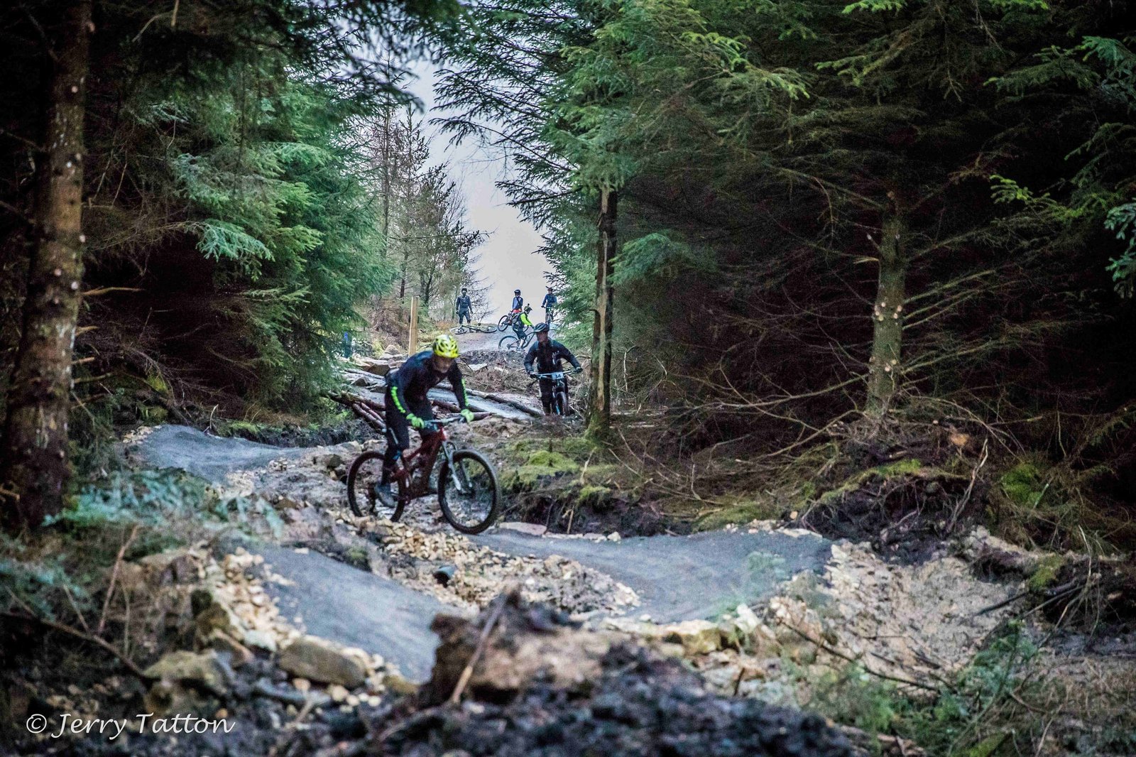 Mountain biking trail woodland terrain forest cycling track