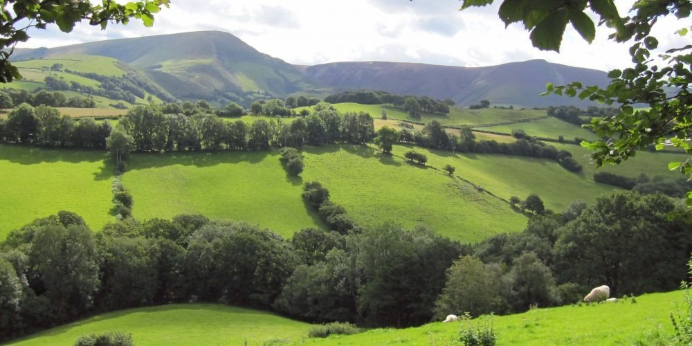 Border countryside surrounding Knighton