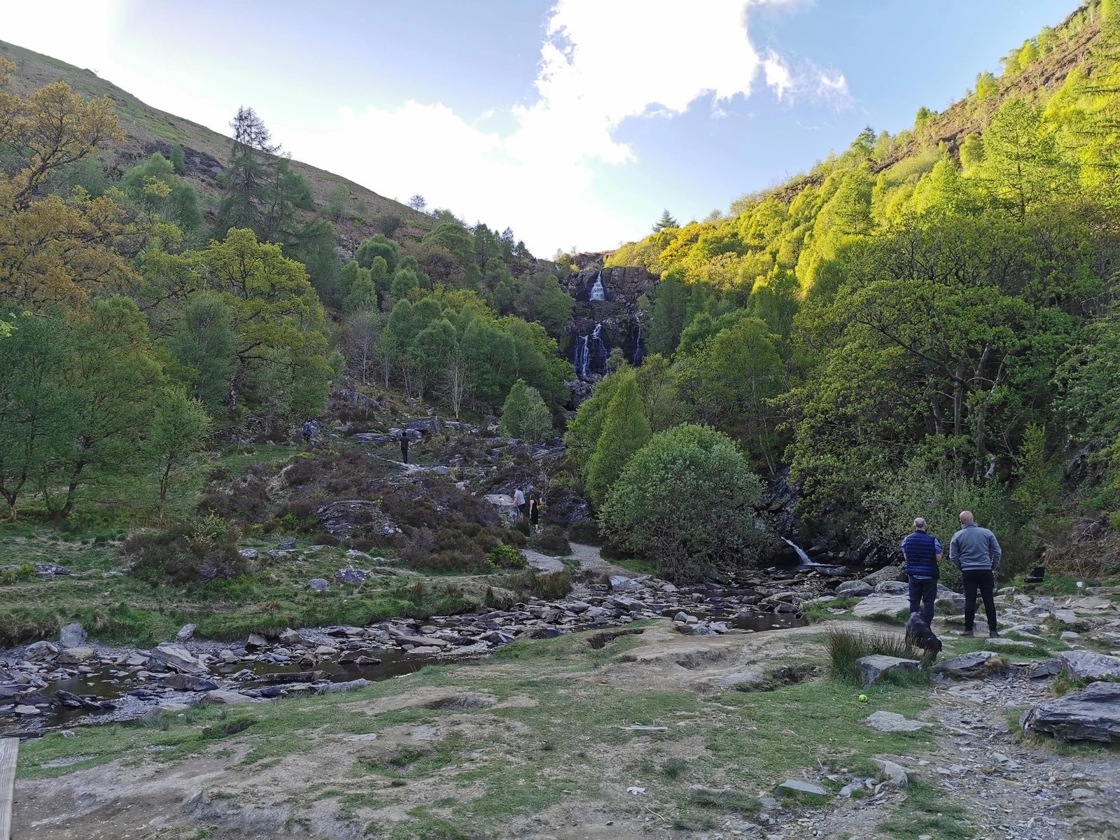 A woodland walking trail beside Lake Vyrnwy