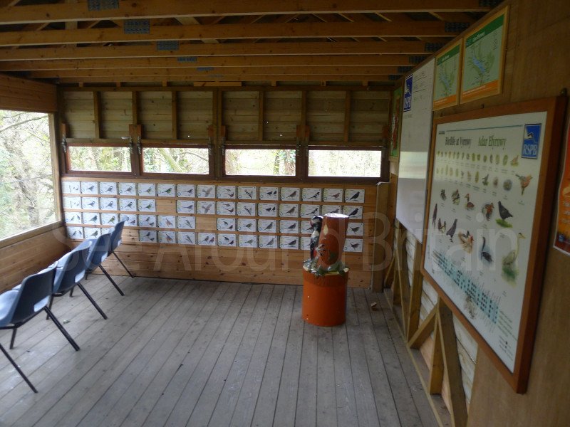 Birdwatching hide overlooking Lake Vyrnwy