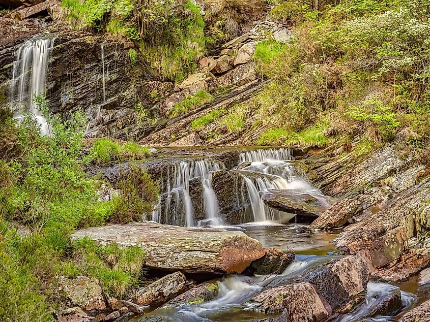 A woodland waterfall near Lake Vyrnwy