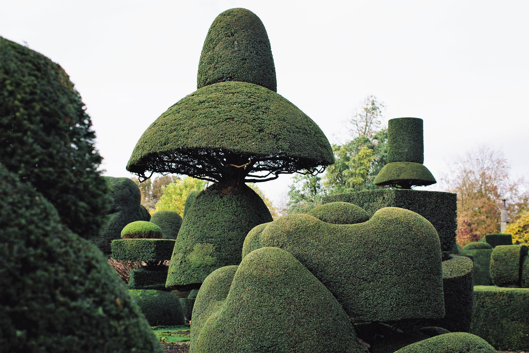 Topiary garden formal design shaped trees geometric heritage aesthetic