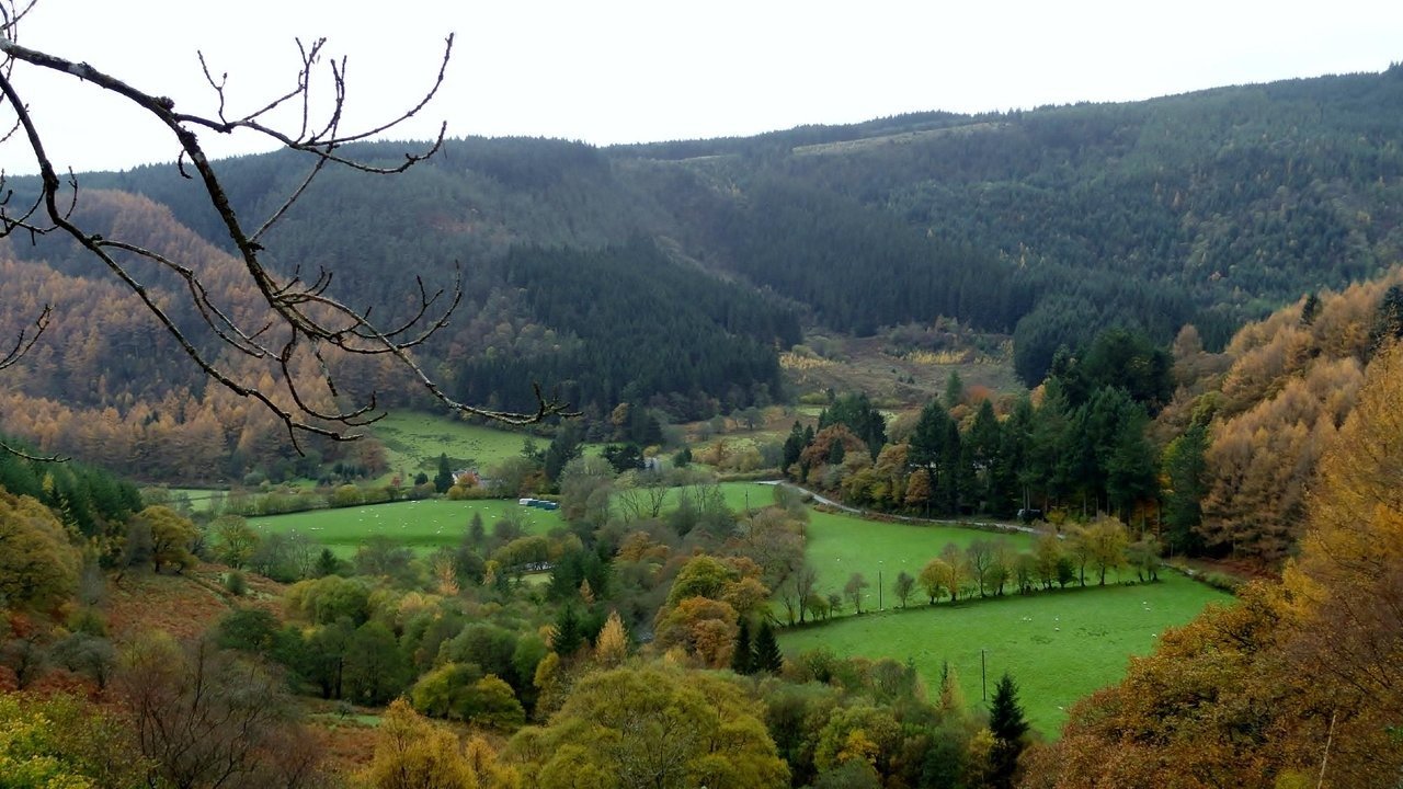 Countryside surrounding Llanwrtyd Wells