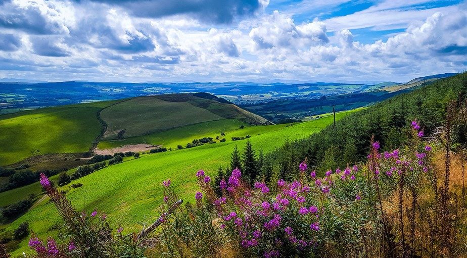 Cambrian Mountains countryside near Llanwrtyd Wells