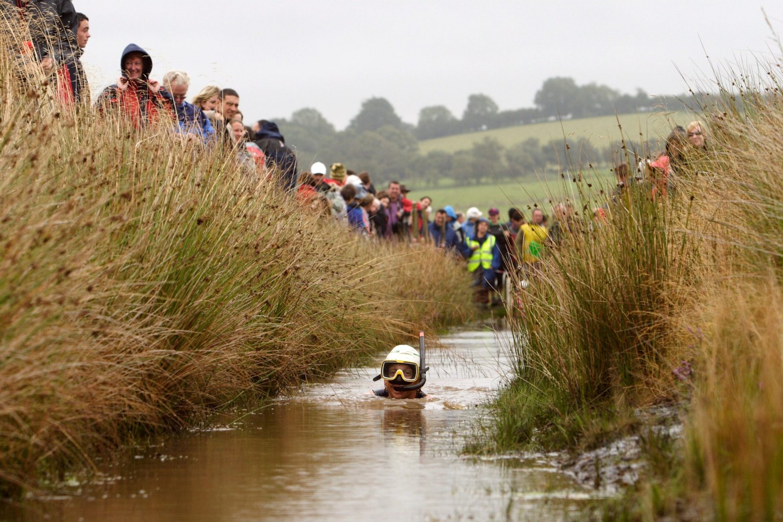 Bog snorkelling event at Llanwrtyd Wells