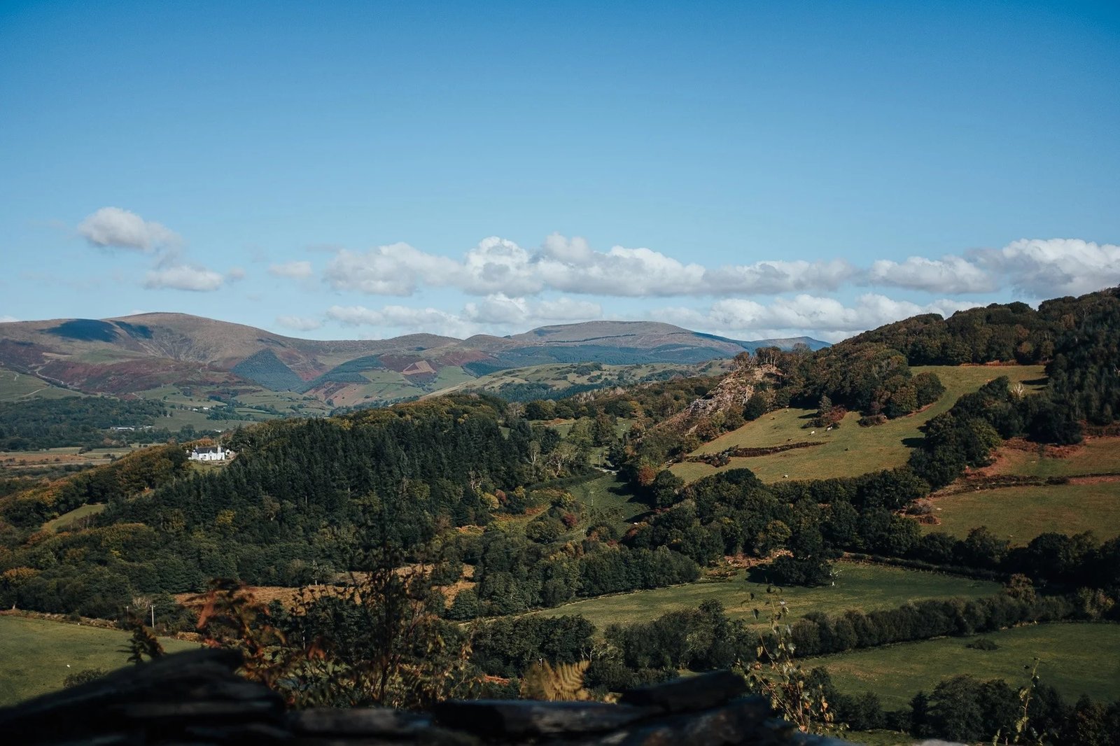 Dyfi Valley countryside around Machynlleth