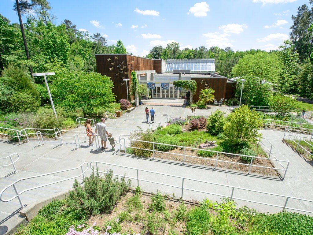 Wildlife garden at Magic of Life Butterfly House in the Rheidol Valley