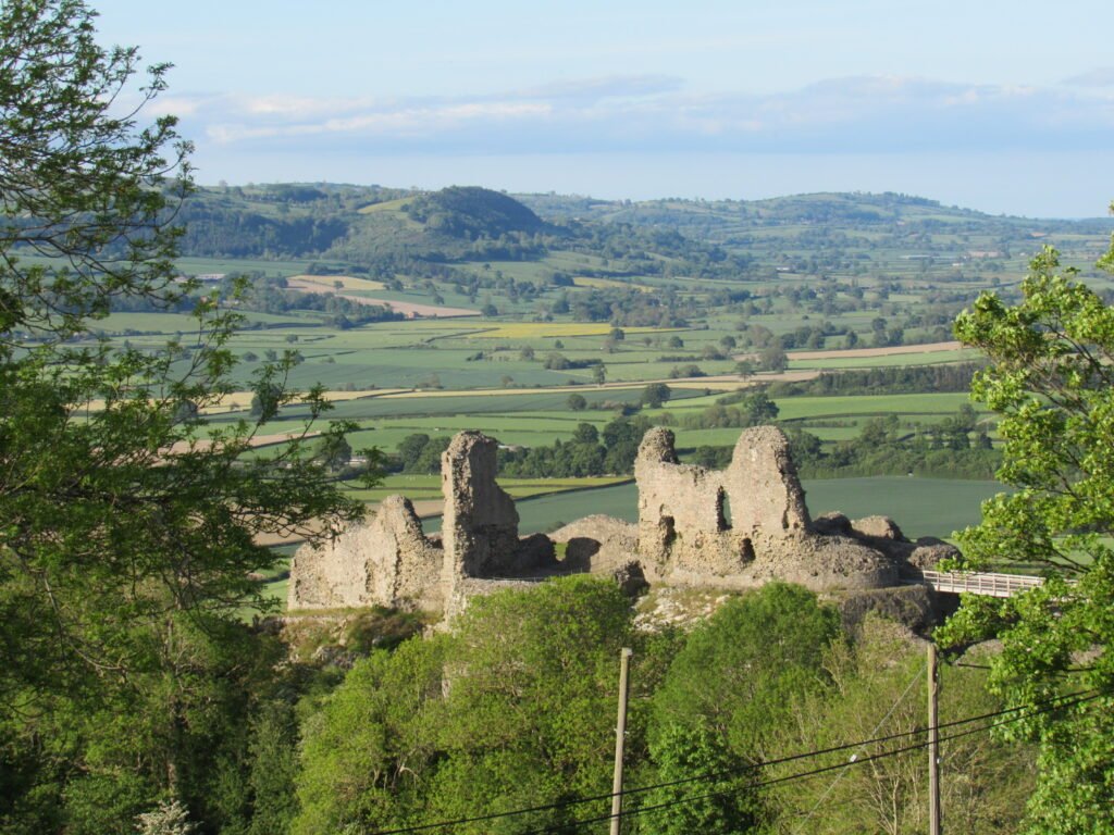 Montgomery Castle