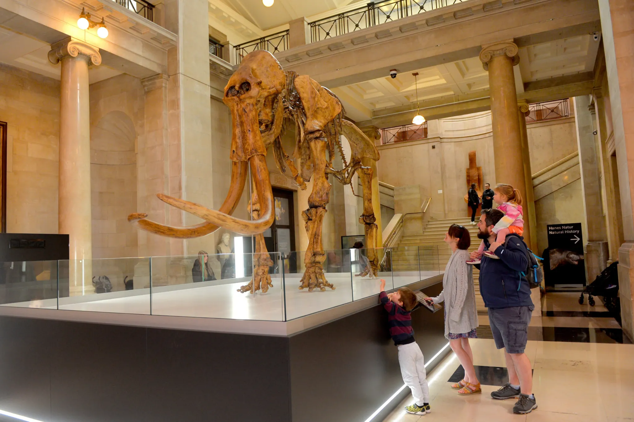 Geology and fossil displays at National Museum Cardiff