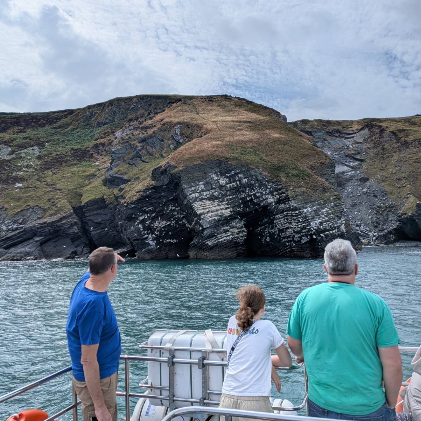 Wildlife boat exploring the Cardigan Bay coastline from New Quay