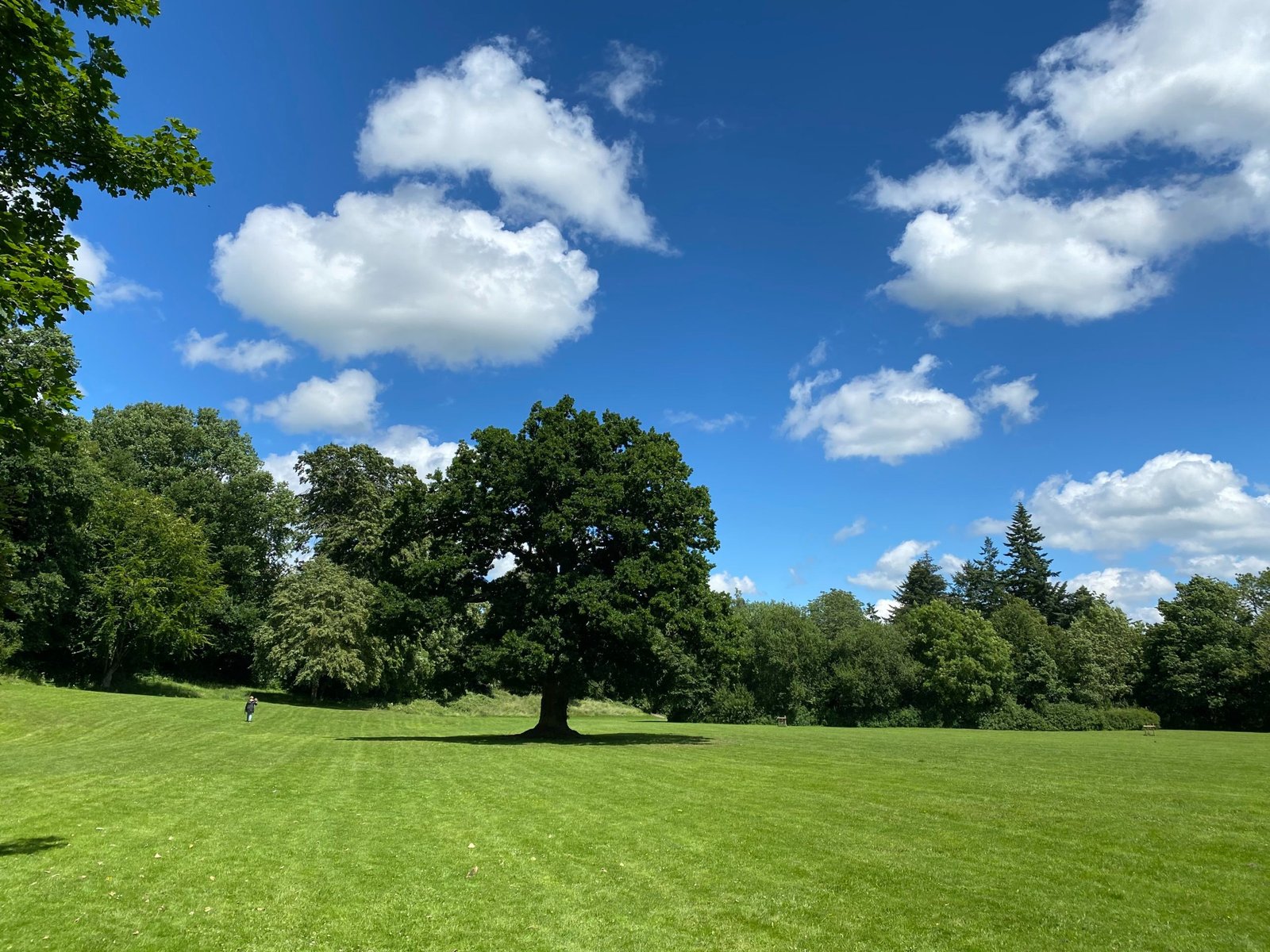 beautiful parks and countryside in Newtown