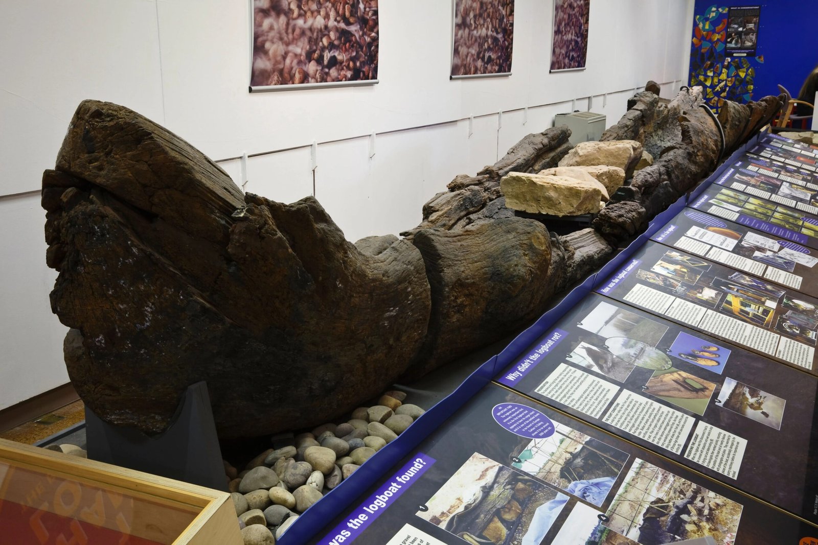 Ancient archaeological objects at Radnorshire Museum