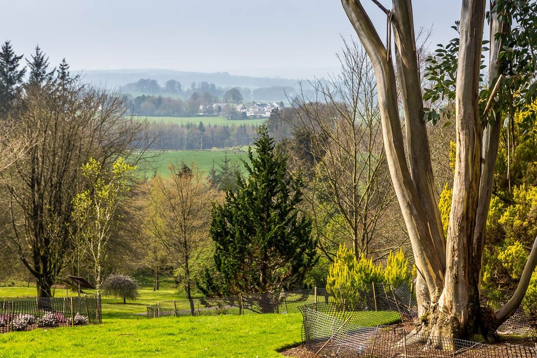 Threave Garden & Nature Reserve