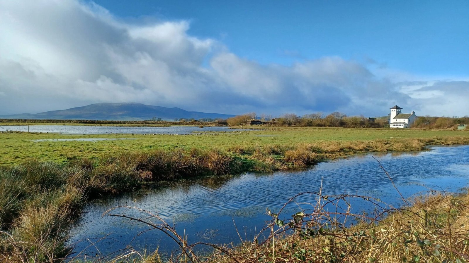 View across WWT Caerlaverock nature reserve