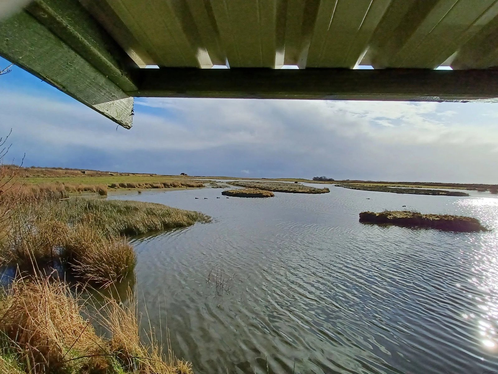 WWT Caerlaverock