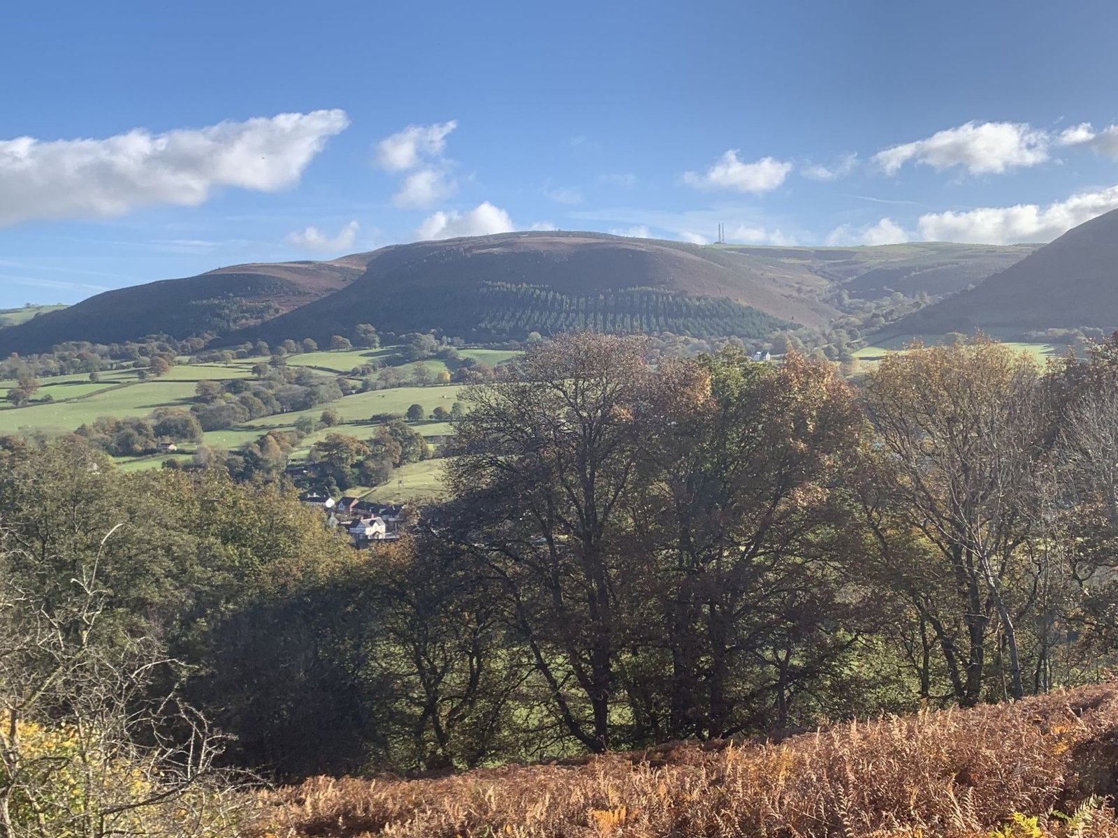 Countryside around Welshpool and the Severn Valley
