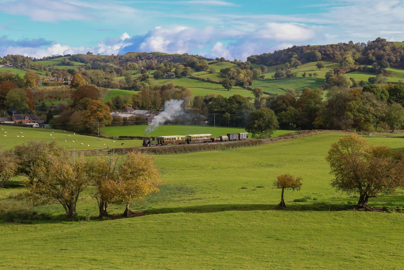 Welshpool and Llanfair Light Railway steam train