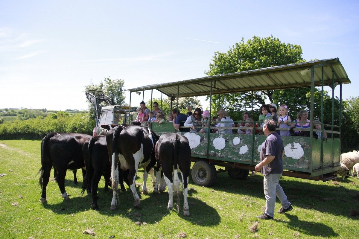 Children enjoying activities at Fantasy Farm Park