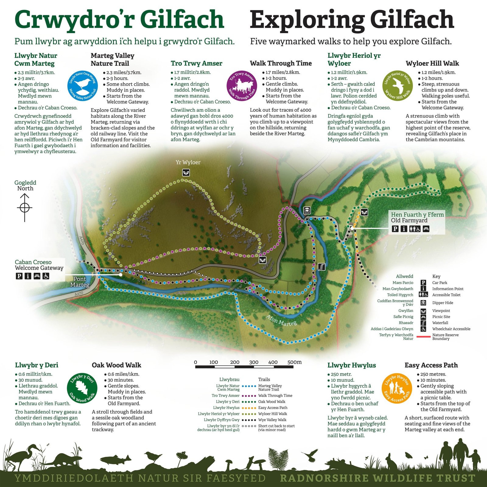 Gilfach Nature Reserve