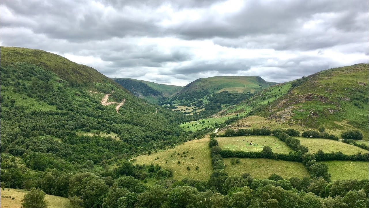 Wildflowers and woodland at Gilfach Nature Reserve