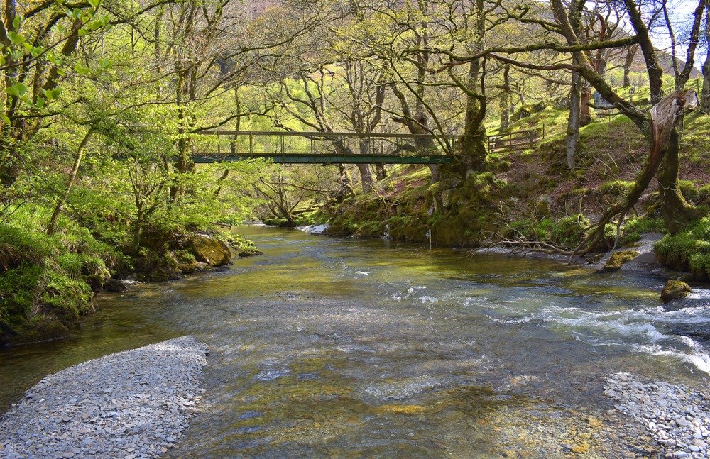 River Marteg flowing through Gilfach Nature Reserve