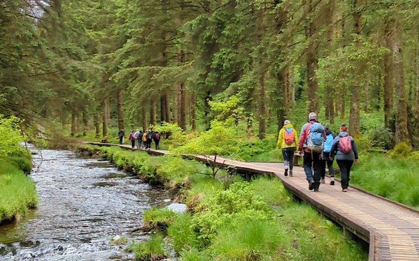 Walkers following the Source of the Severn Trail towards Pumlumon
