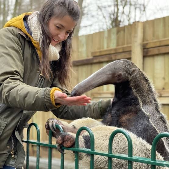 Children farm animals petting interaction hands-on experience