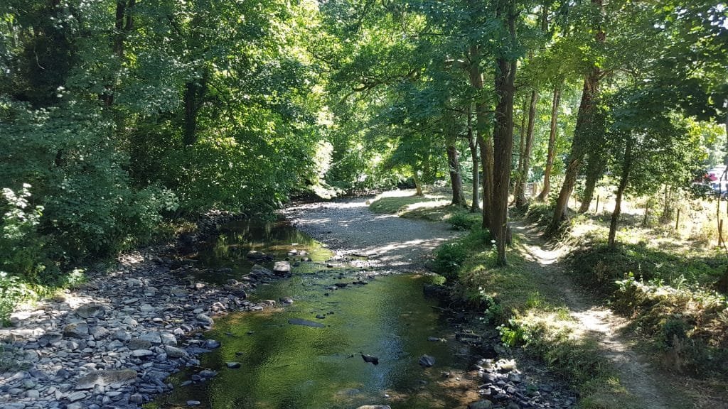 Woodland and riverside walk on the Llanerchaeron estate