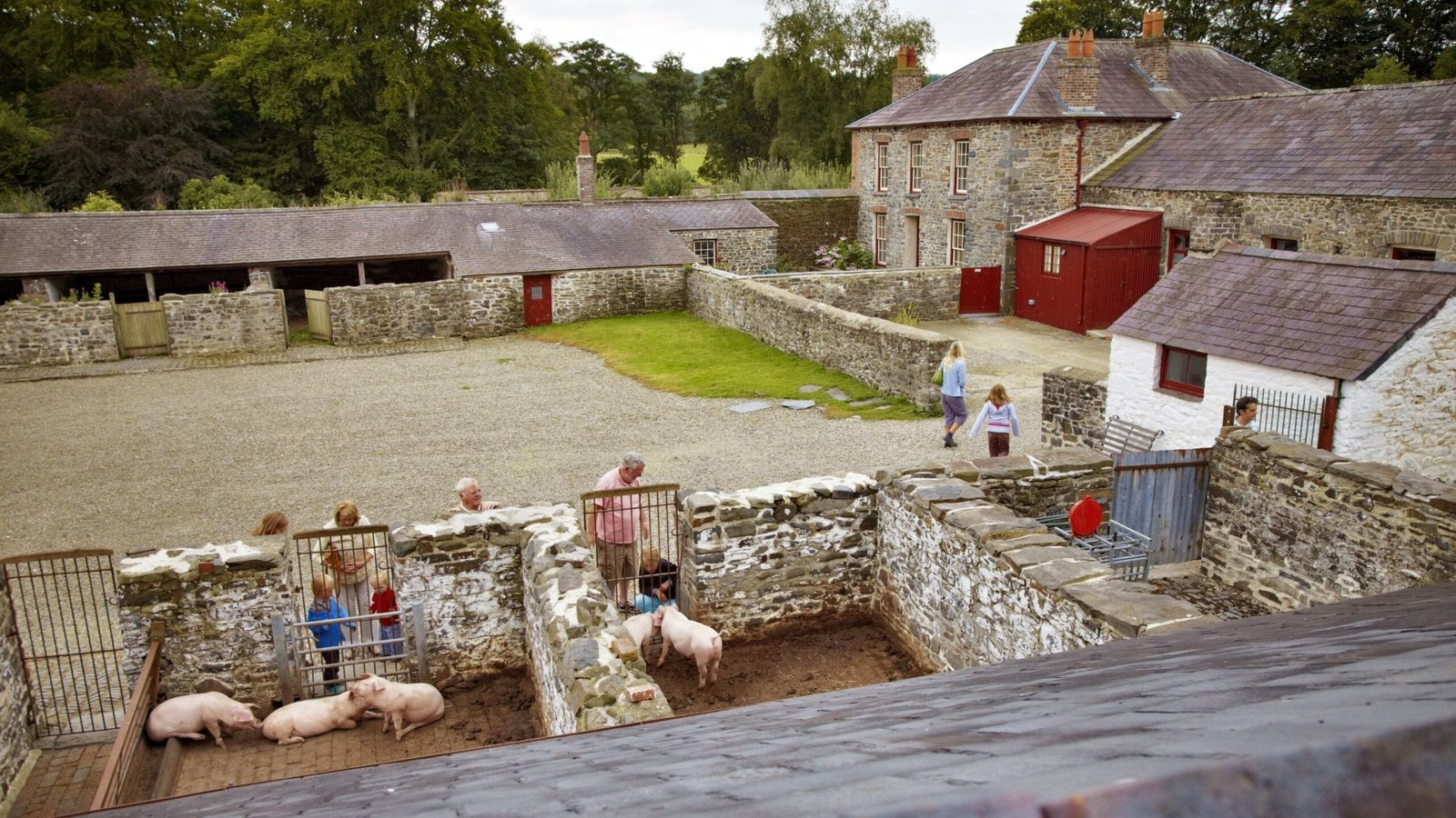 Families exploring the historic farmyard at Llanerchaeron