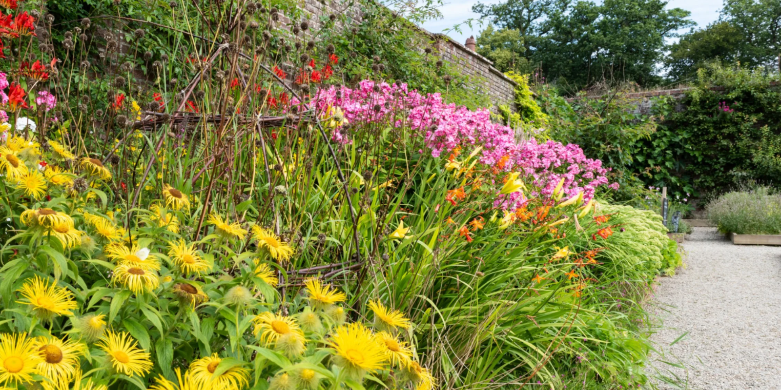 Productive walled garden at Llanerchaeron