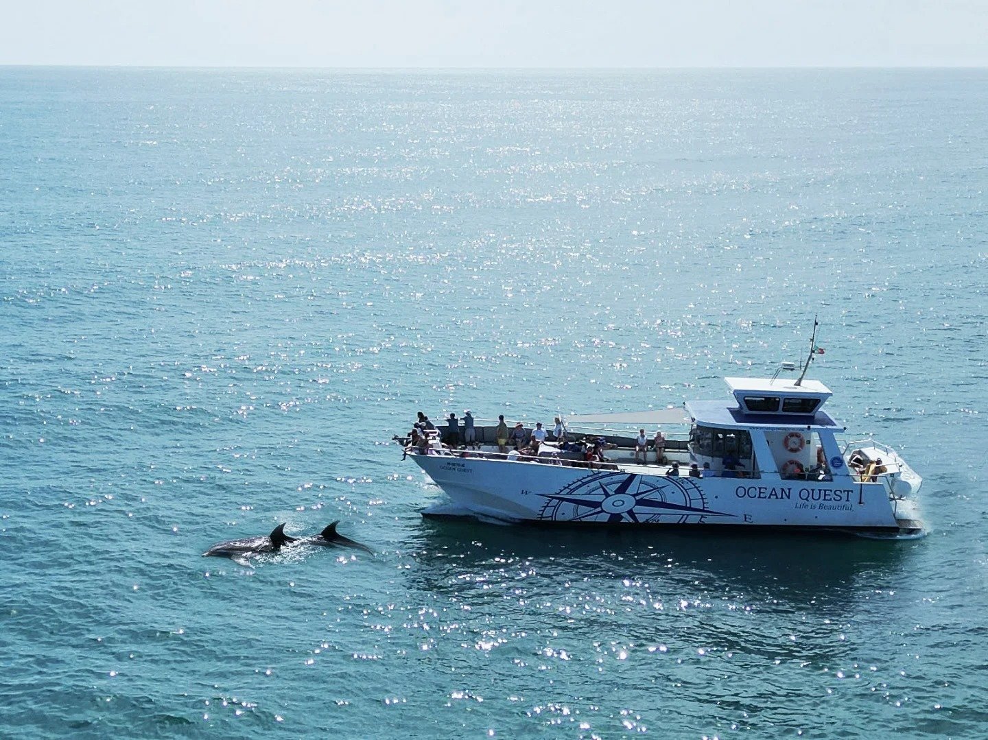 Scuba diving trip with Ocean Quest