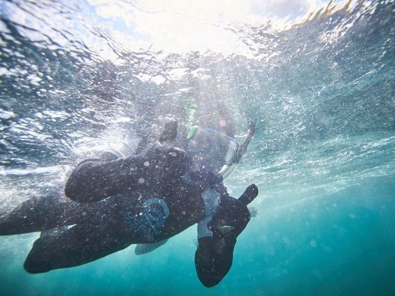 Scuba diving experience in South Wales