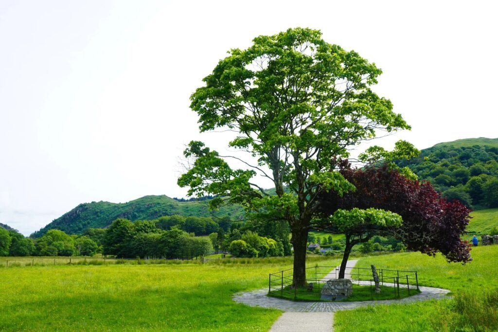 Gelert’s Grave, Beddgelert – Walk, Legend & Visitor Guide