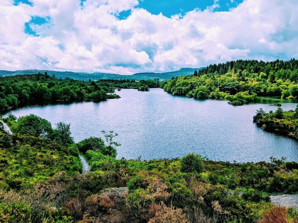 Llyn Elsi Walk, Betws-y-Coed – Route & Visitor Guide