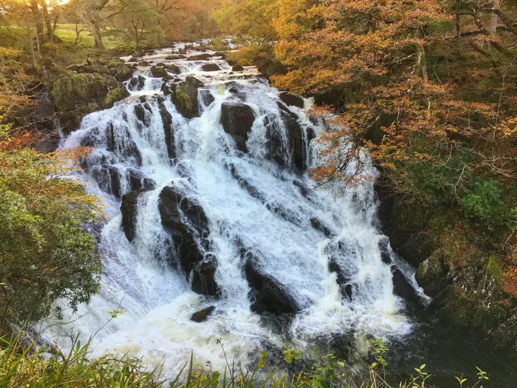 Swallow Falls Betws-y-Coed – Waterfall, Walks & Visitor Guide