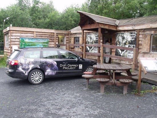 Wildlife displays inside Dyfi Wildlife Centre